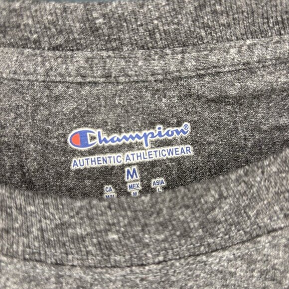 CHAMPION University of Delaware Short Sleeve Tee Mens M Dark Gray Blue Hens - Picture 3 of 5